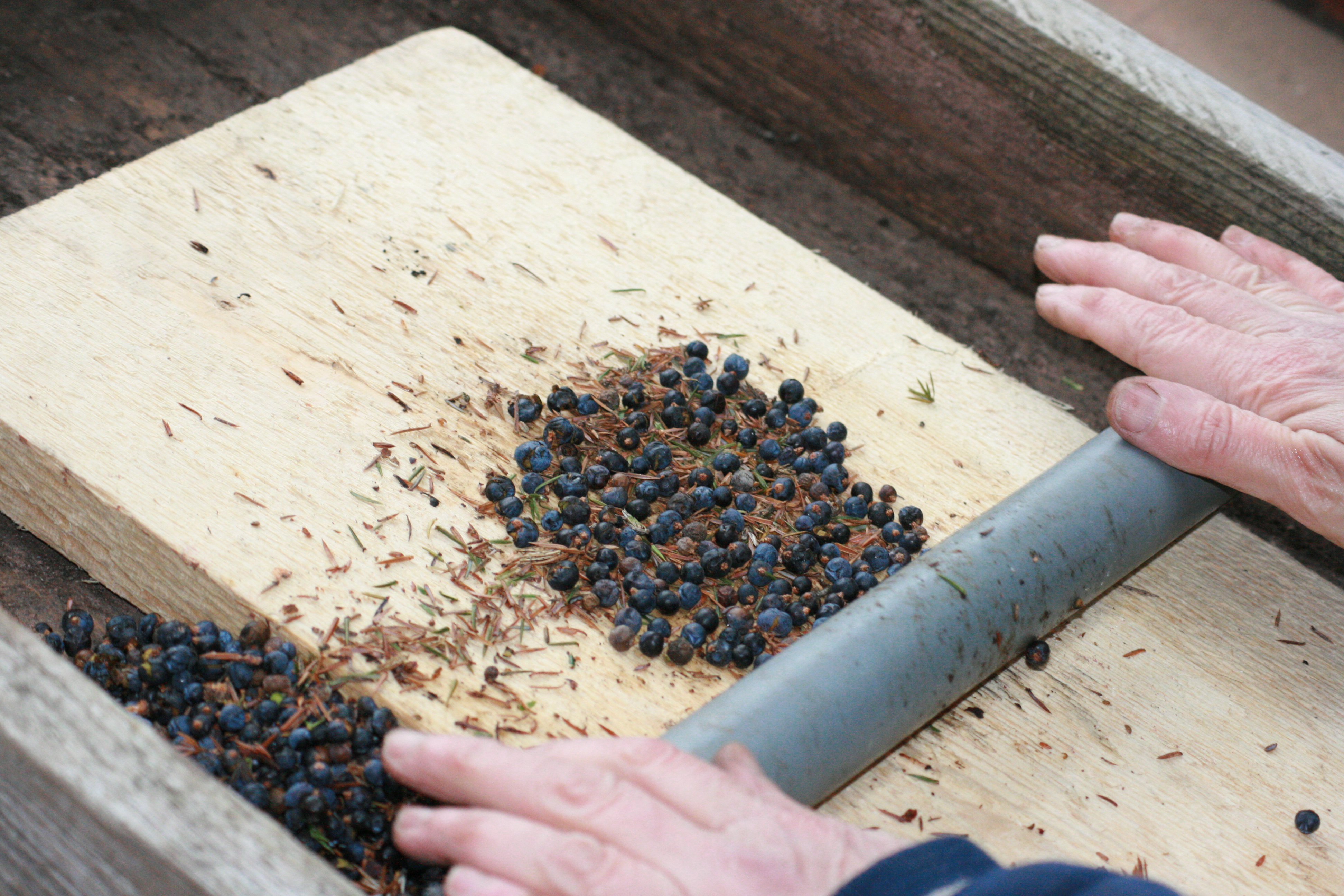 crushing juniper berries